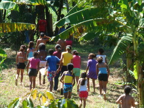 A Day in the Forest ecological tour