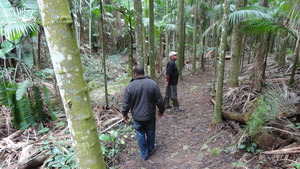 Agroforestry trail.