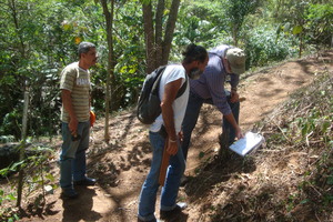 3500 trees of different species planted in 2000.