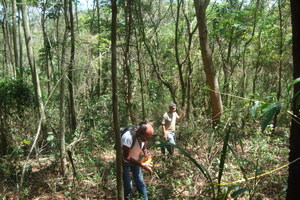 Mesuring experiment parcels and counting trees.