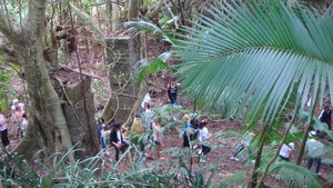 Ruins of old coffee farm aqueduct.