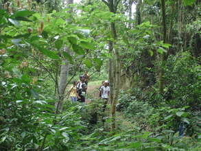 Most of the students never visited a forest.