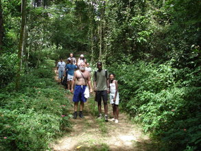 Forest trail
