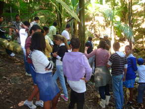 Students visiting agroforestry experiment