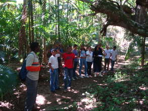 Under the big and very old Mango tree