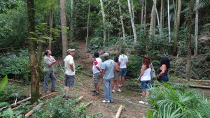 Tree nursery and agroforestry demonstration area.