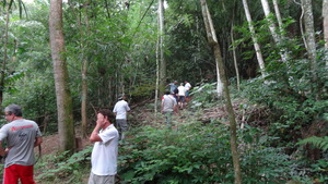 Agroforestry demonstration area.