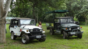 Jeeps.
