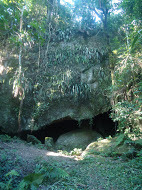 Principal site for the studies.