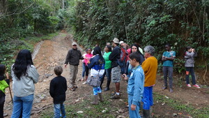Talking about the forest.