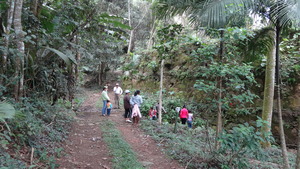Part of group by old coffee farm wall.