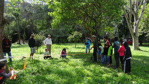 Line for the slack line.