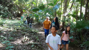 A stroll on the forest.