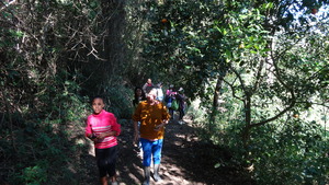 On the trail going back home.