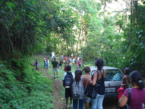 It is the first time they visit a forest