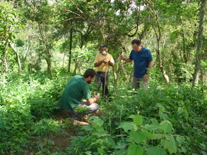 The agronomist teaching farm workers how to apply organic fertil