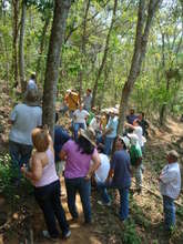 10 years ago Embrapa planted these 3500 trees