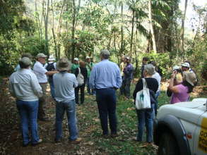 Explaining agroforestry planting systems