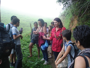 Teachers rarely came to visit a forest.