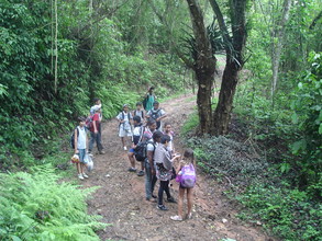 Students on the Rainforest trail.