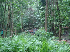 Tree nursery and students.