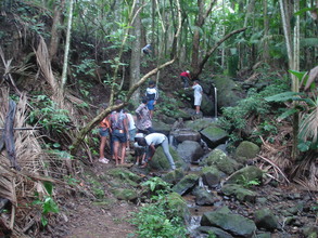 Students, the forest and the water.