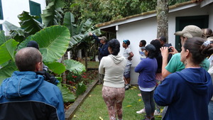 Knowing a Evapotranspiration Bed sewage system.