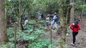 Tree nursery and seedlings to be planted this year