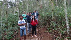 On the trail to see agroforestry plantations.
