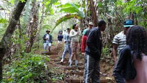 On the trail to see agroforestry plantations.