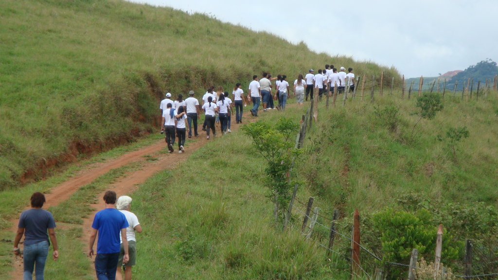 Trees and Education Protect Rainforest in Brazil - GlobalGiving