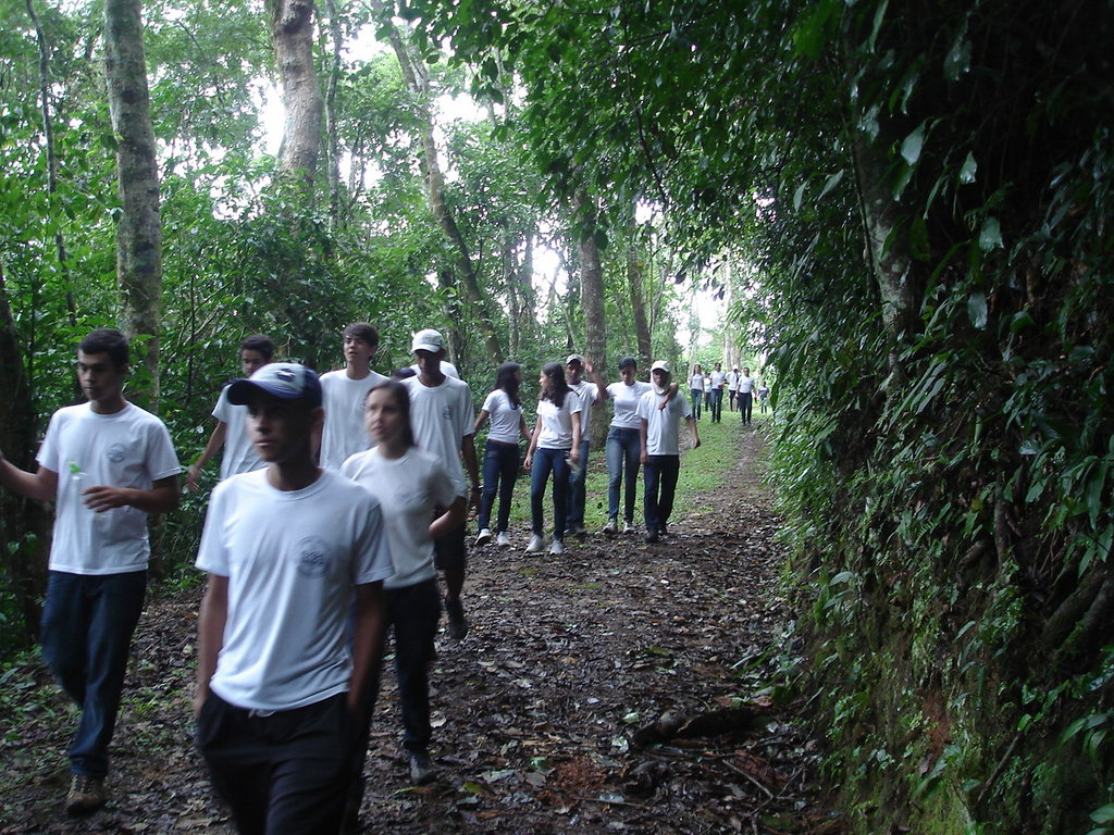 Trees and Education Protect Rainforest in Brazil - GlobalGiving