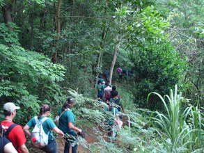 On a  forest trail.