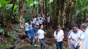 Another view of a forest trail