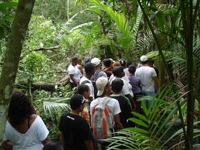 Visiting agroforestry system with palm trees.