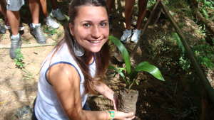 A student planting a palm tree.
