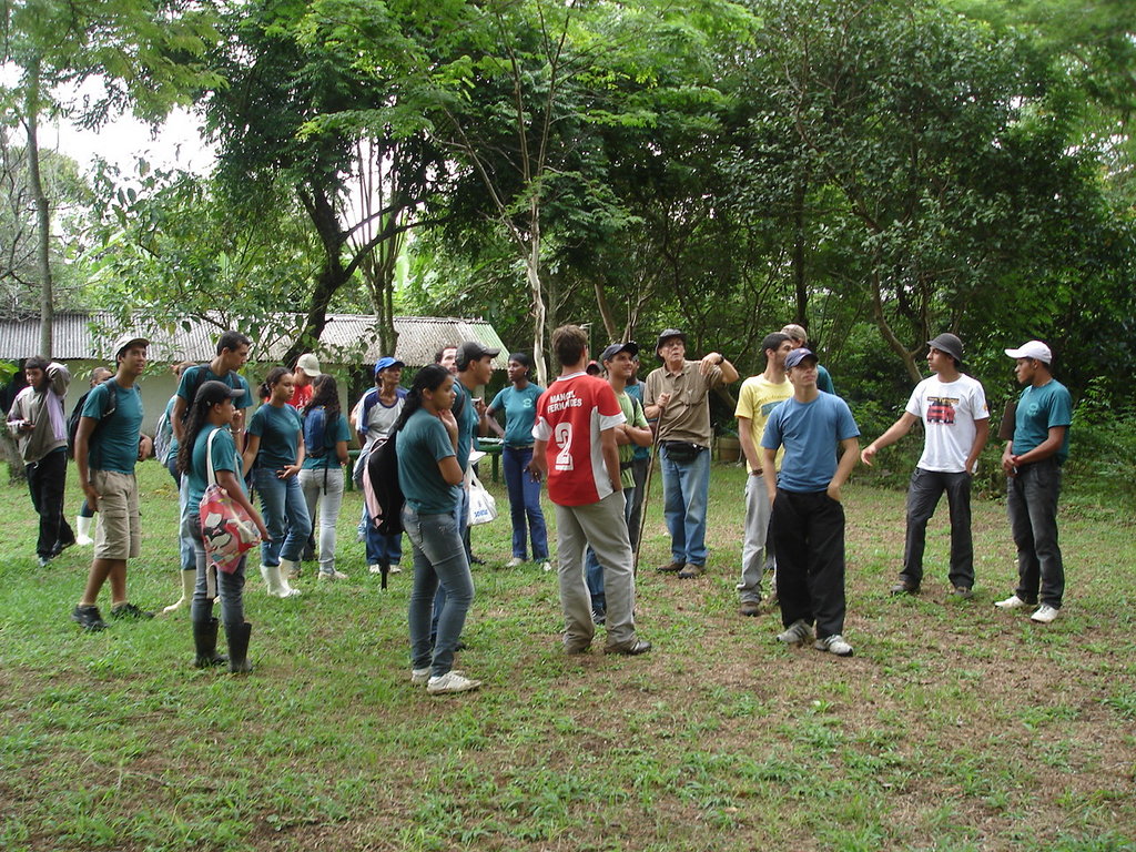 Trees and Education Protect Rainforest in Brazil