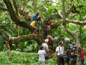 Students, old tree and Canadians