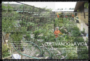 An example of a student's final project collage