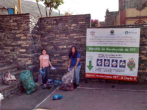 Collection of PET plastic bottles