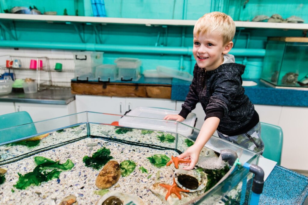 Scholarships for Child To Attend School Today