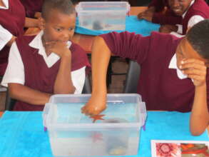 Bringing Real Life Sealife to Schools