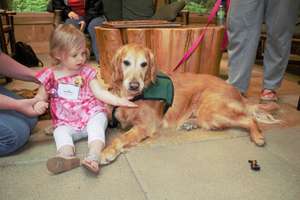 Military child and therapy dog