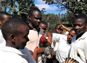 Learning about poultry on Desire Farm