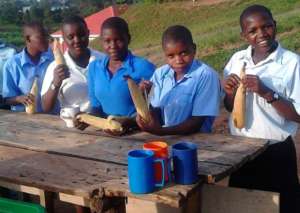 Students eating the maize they harvested