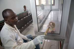 HeroRAT gets a reward after a positive indication