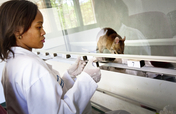 Train HeroRat Bubble to detect TB in Mozambique