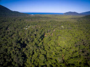 From above and behind, Lot 46