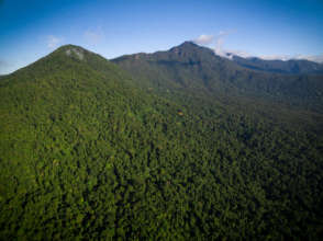 Thornton Peak or Wundu (Kuku Yalanji)