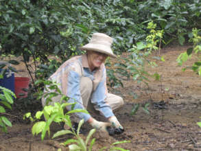 Rainforest Rescue supporter planting on Lot 46